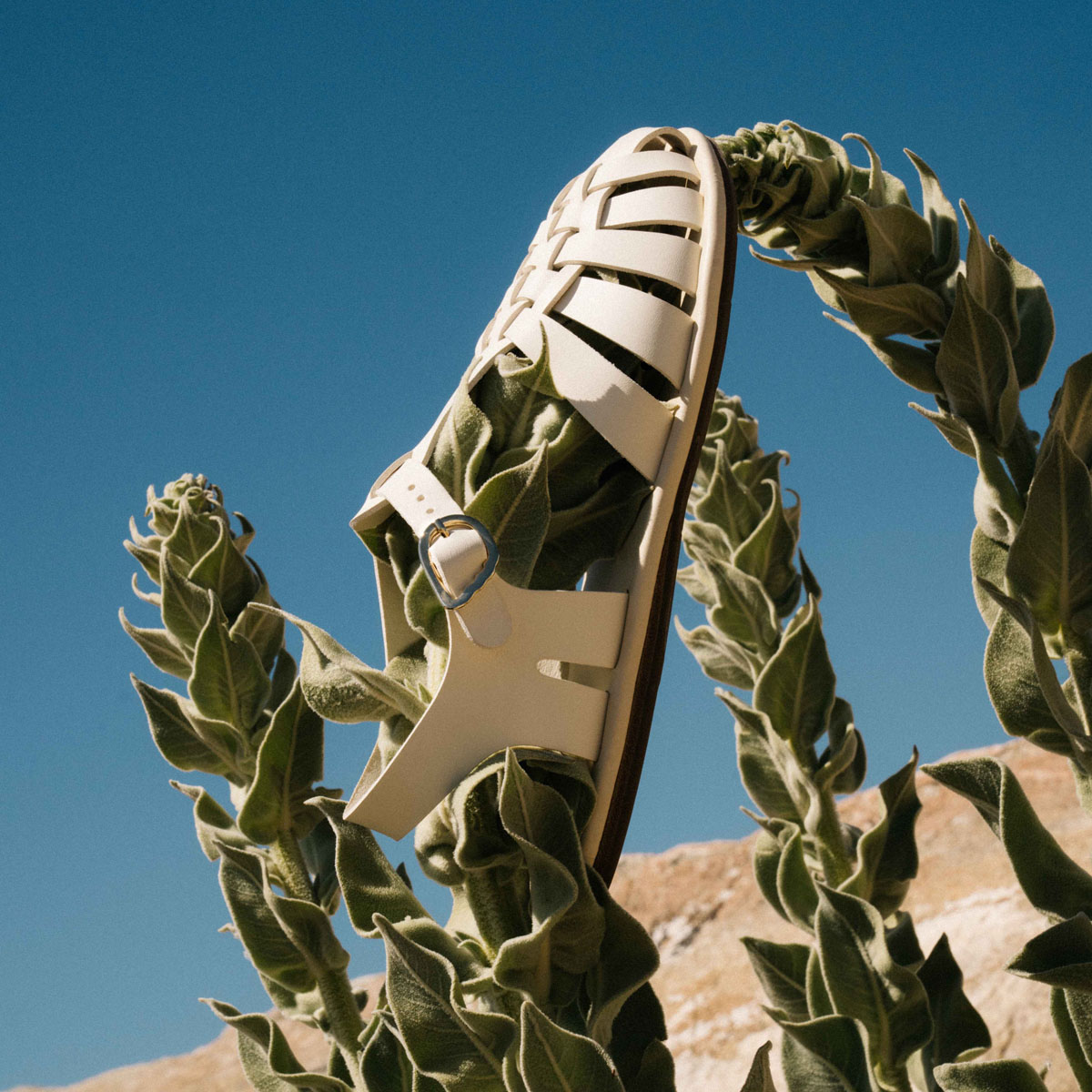 Ancient Greek Sandals