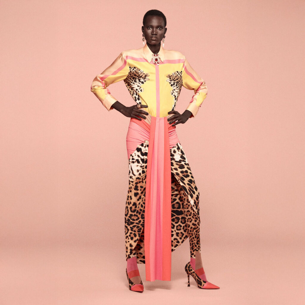 CAVALLI_2