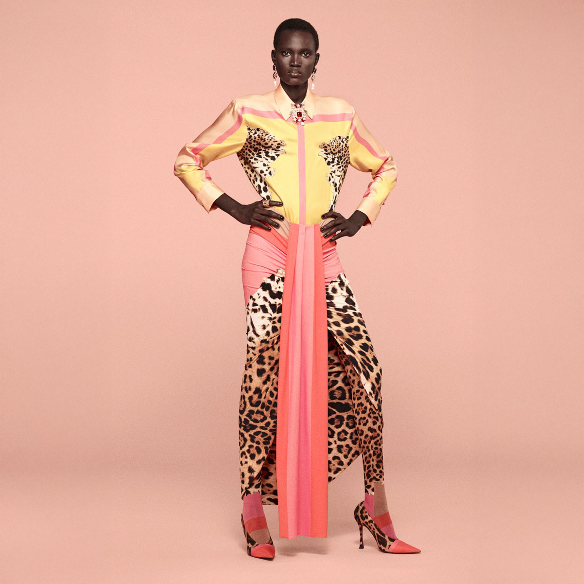 CAVALLI_2