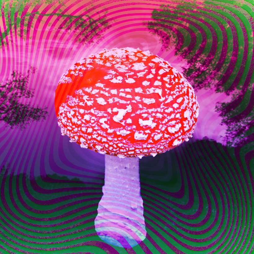 Mushroom Retreat: Μπορούν τα μαγικά μανιτάρια να θεραπεύσουν την κατάθλιψη;