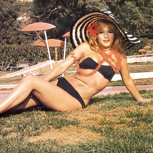 aliki-bikini