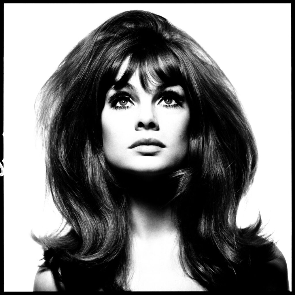 david-bailey-ortega-1