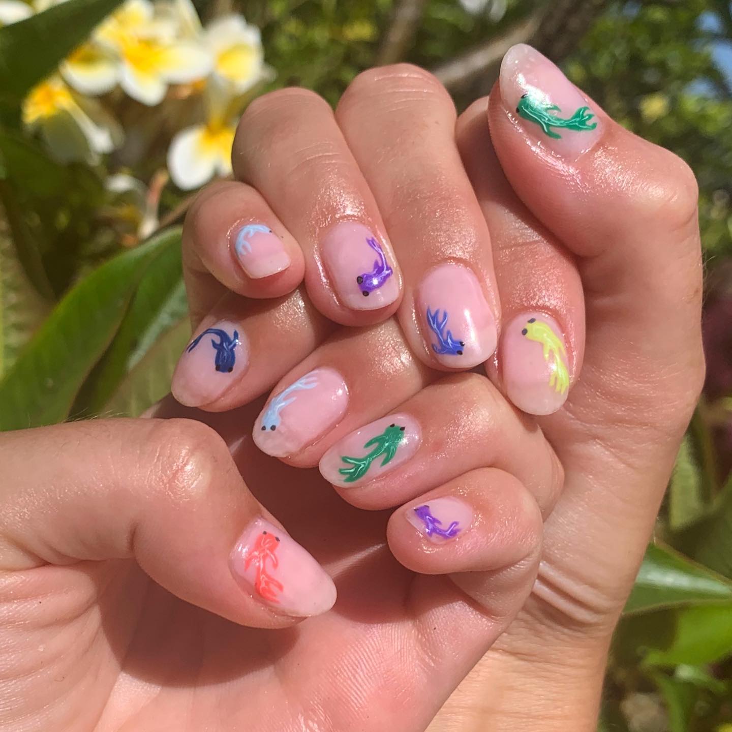 fish nails 1.800.nail me
