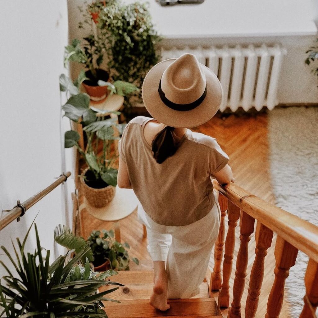 Φεύγετε διακοπές; 5 τρόποι να επιβιώσουν τα φυτά εσωτερικού χώρου