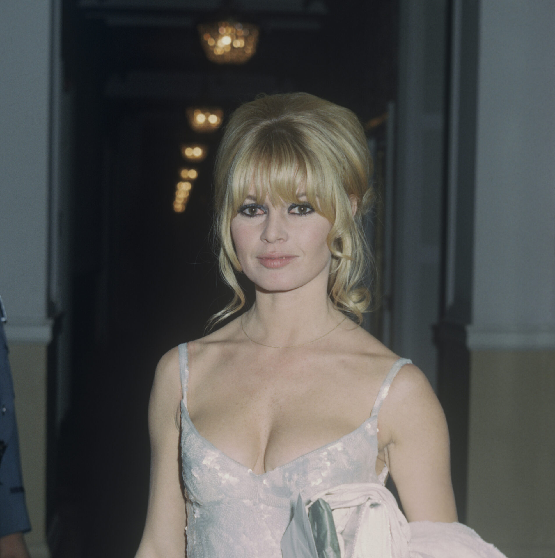 hairstyle brigitte bardot