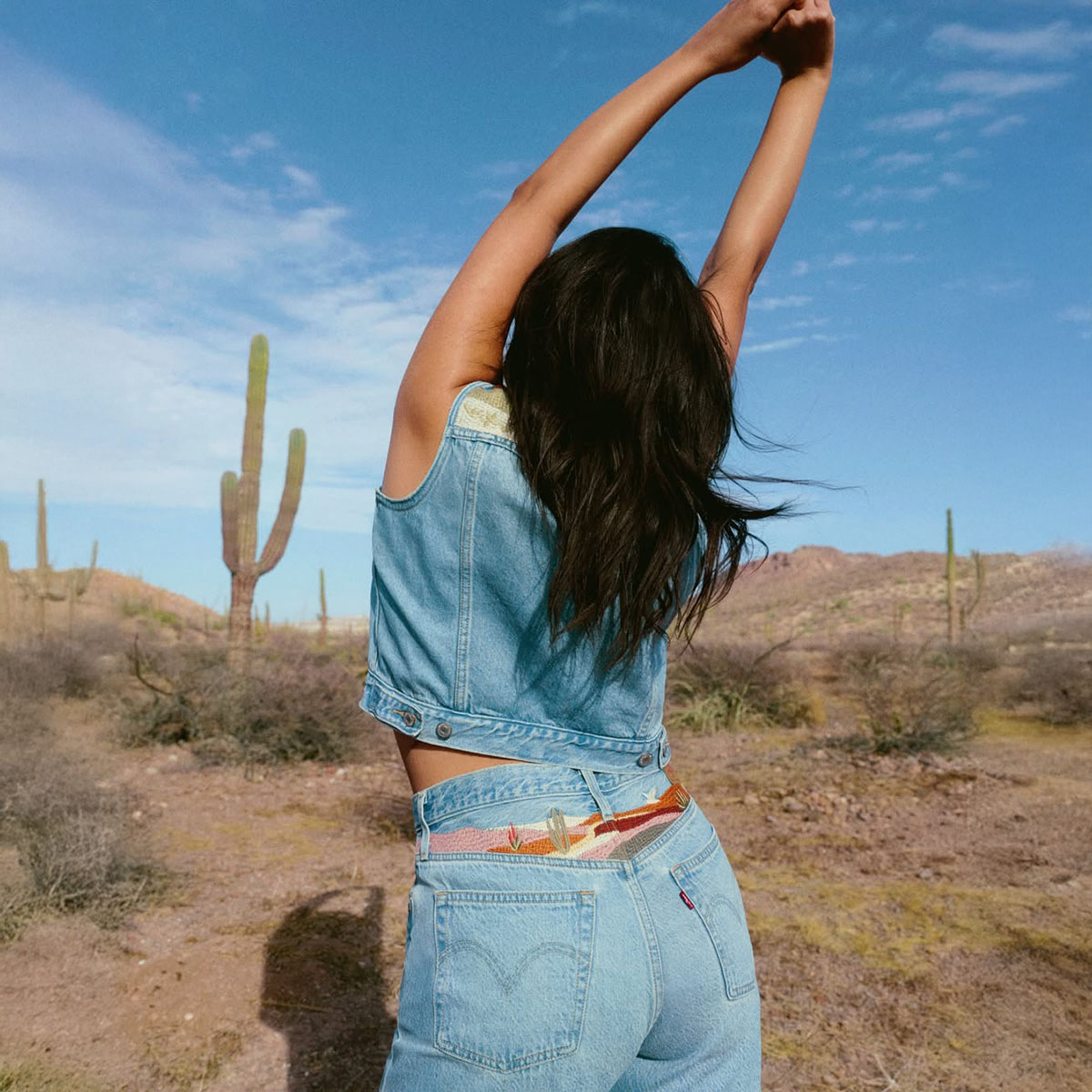 levis-2