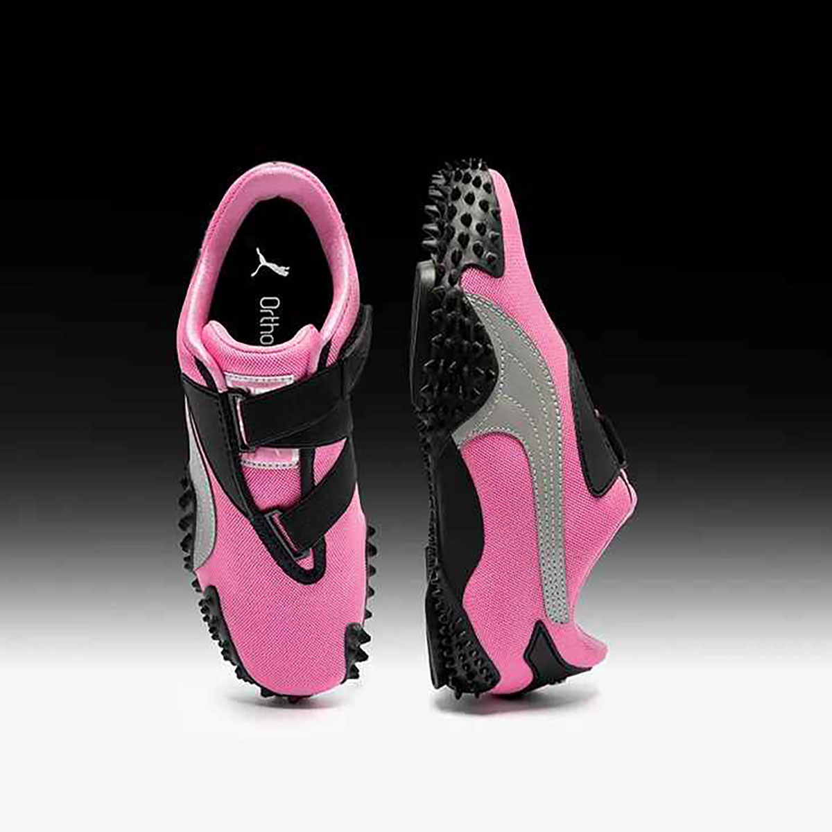 puma-mostro