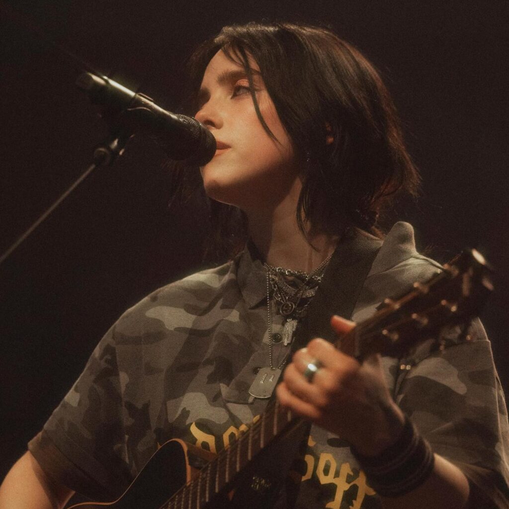 stain lip liner billie eilish 2