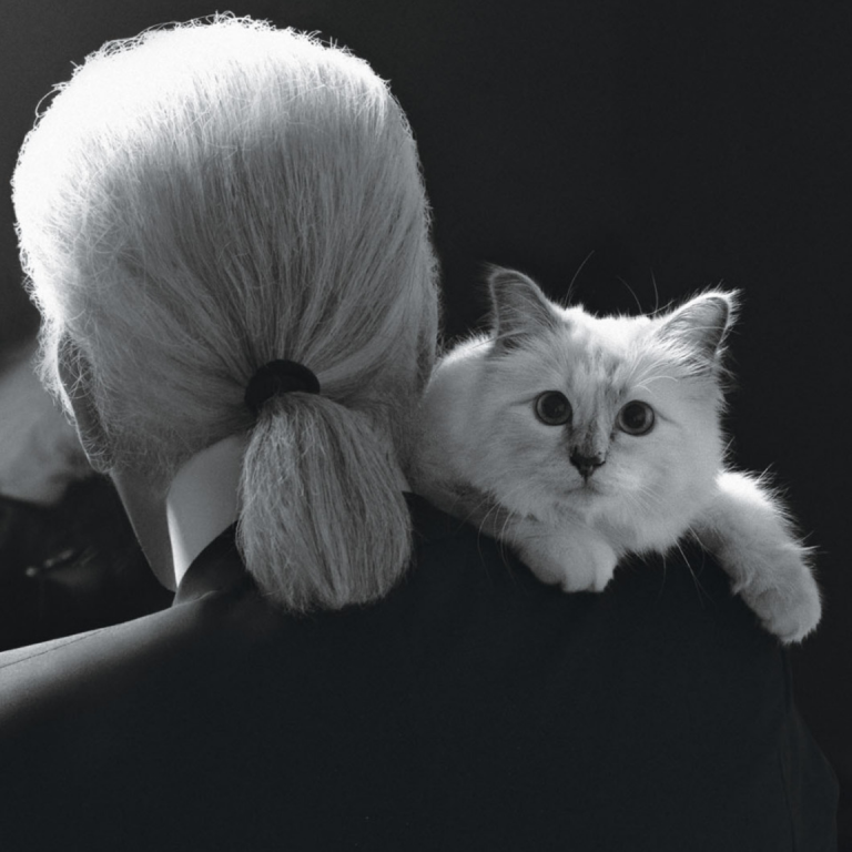To πιο υπέροχο σχέδιο του Karl Lagerfeld