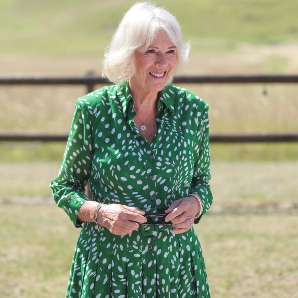 felipe-letizia-camilla-ellada-4