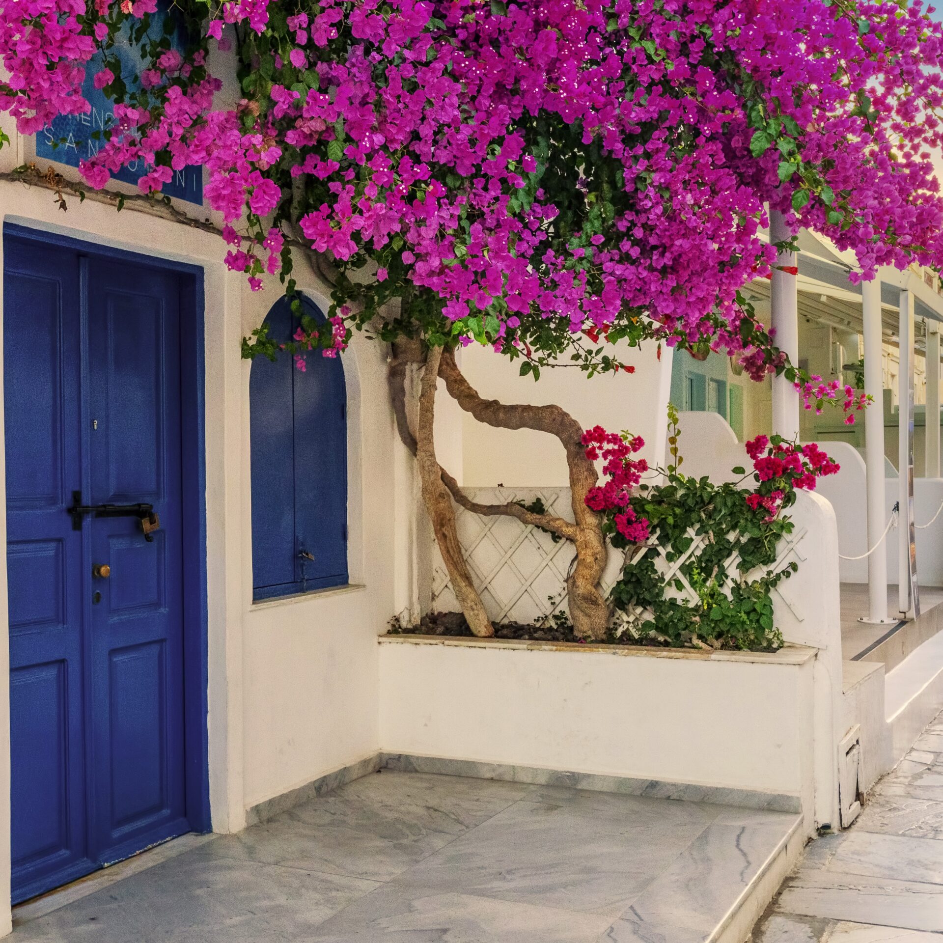 View of Oia street in the mornong