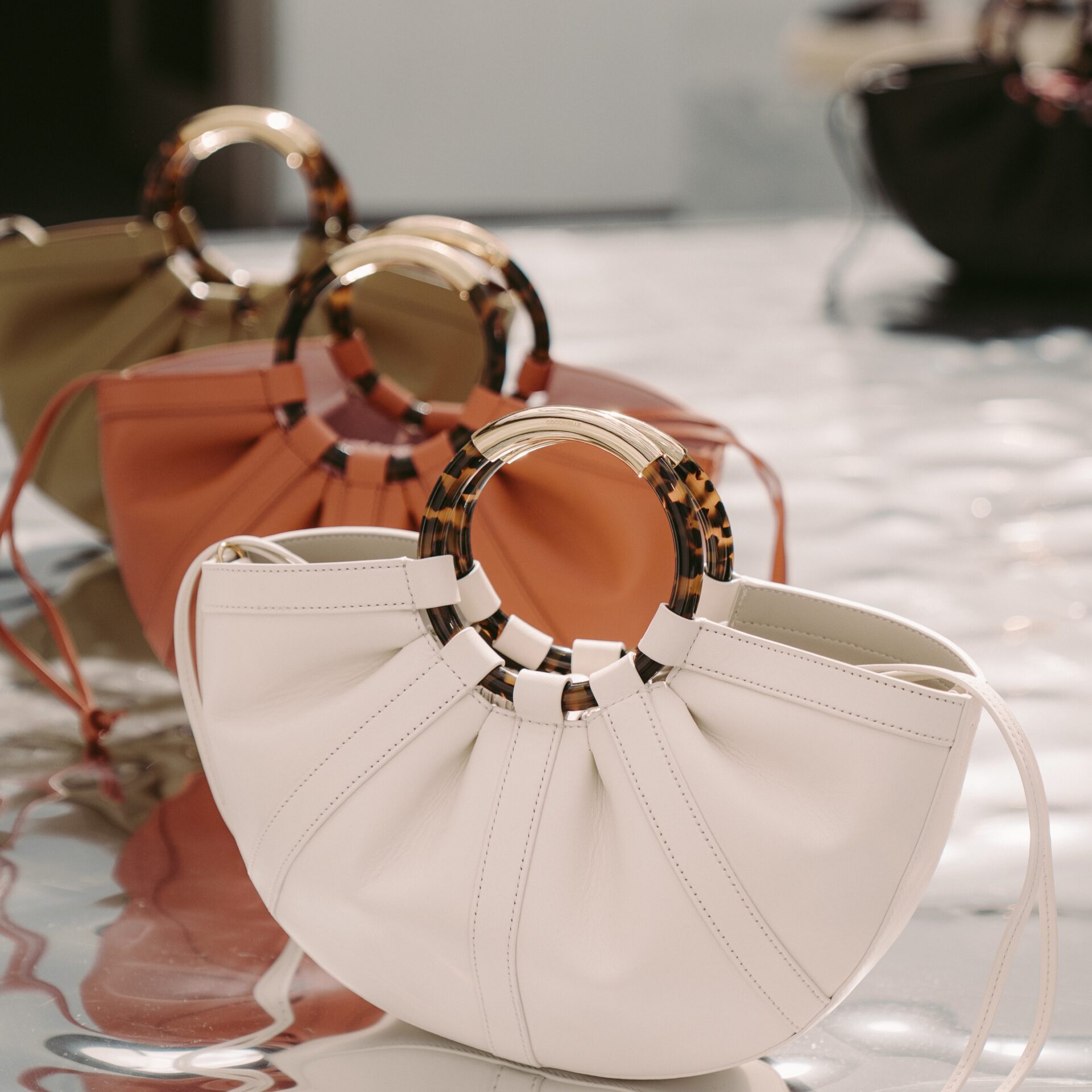 coccinelle-3