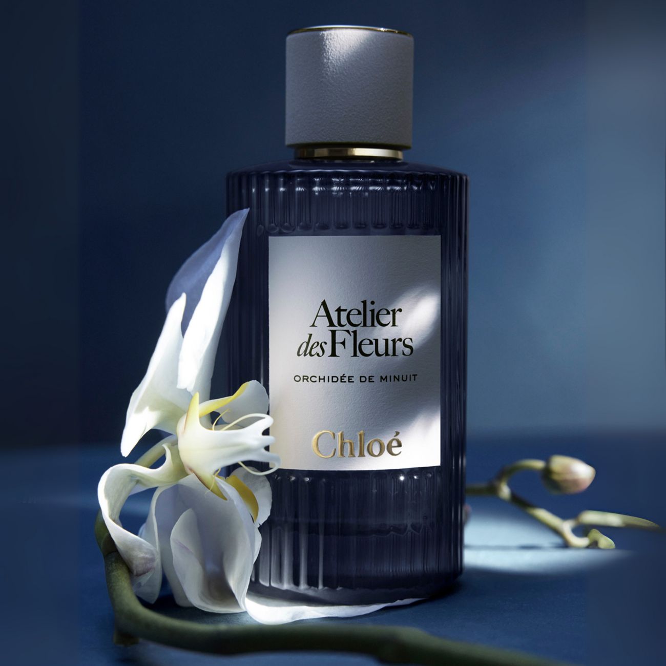 kremodi aromata chloe