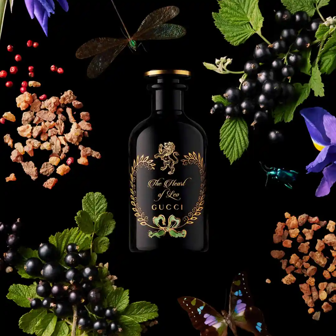 kremodi aromata gucci