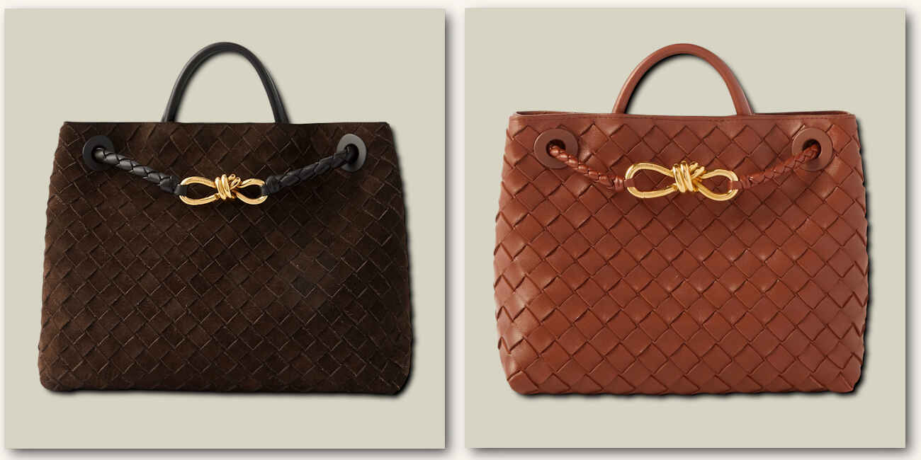 andiamo-bag-bottega-veneta