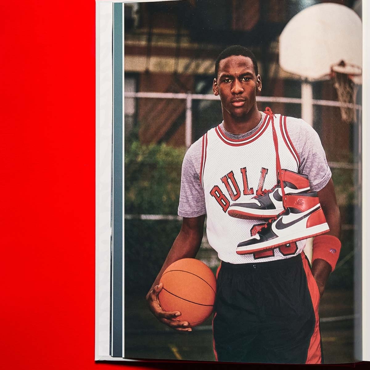 michael-jordan-assouline