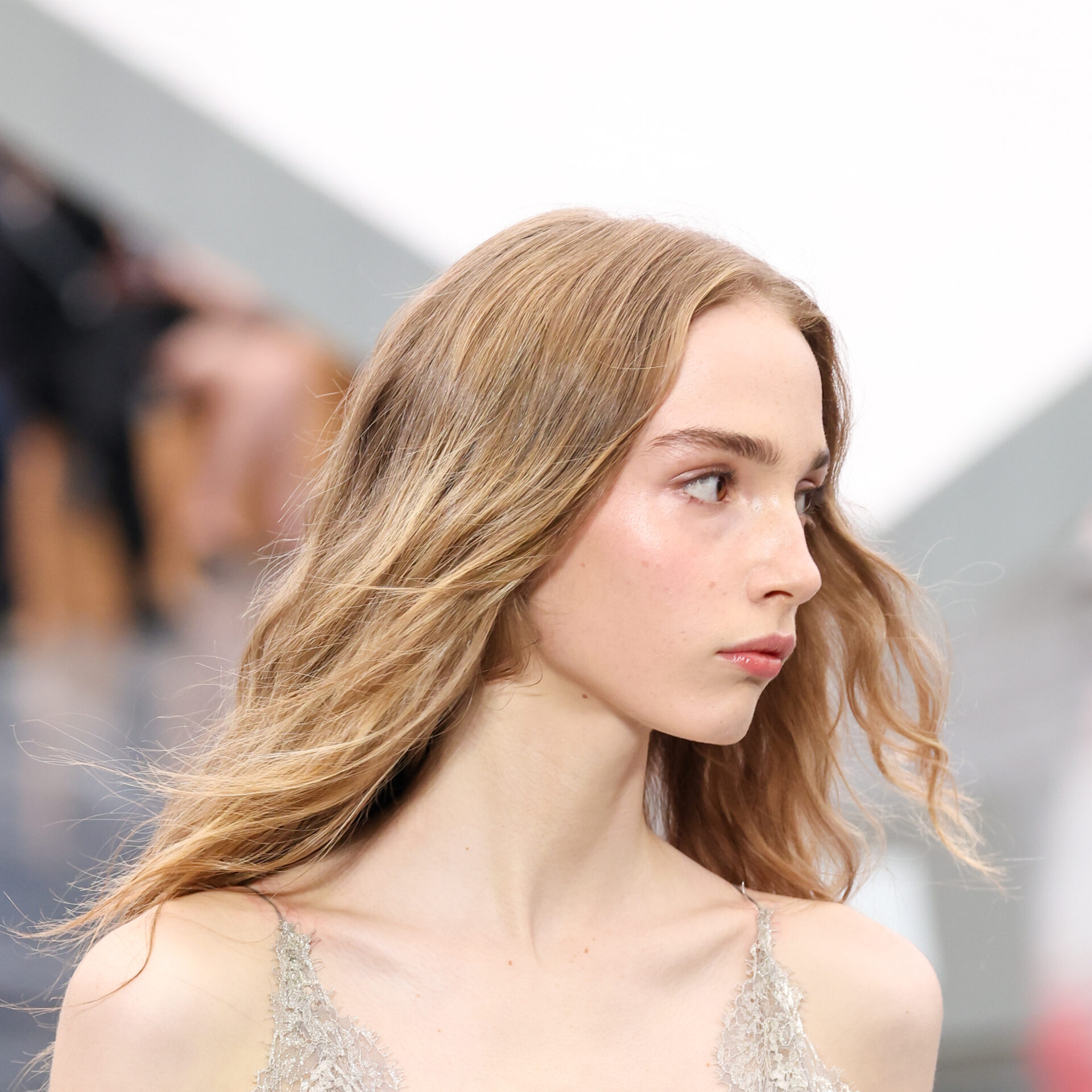 evdomada-modas Christian Dior