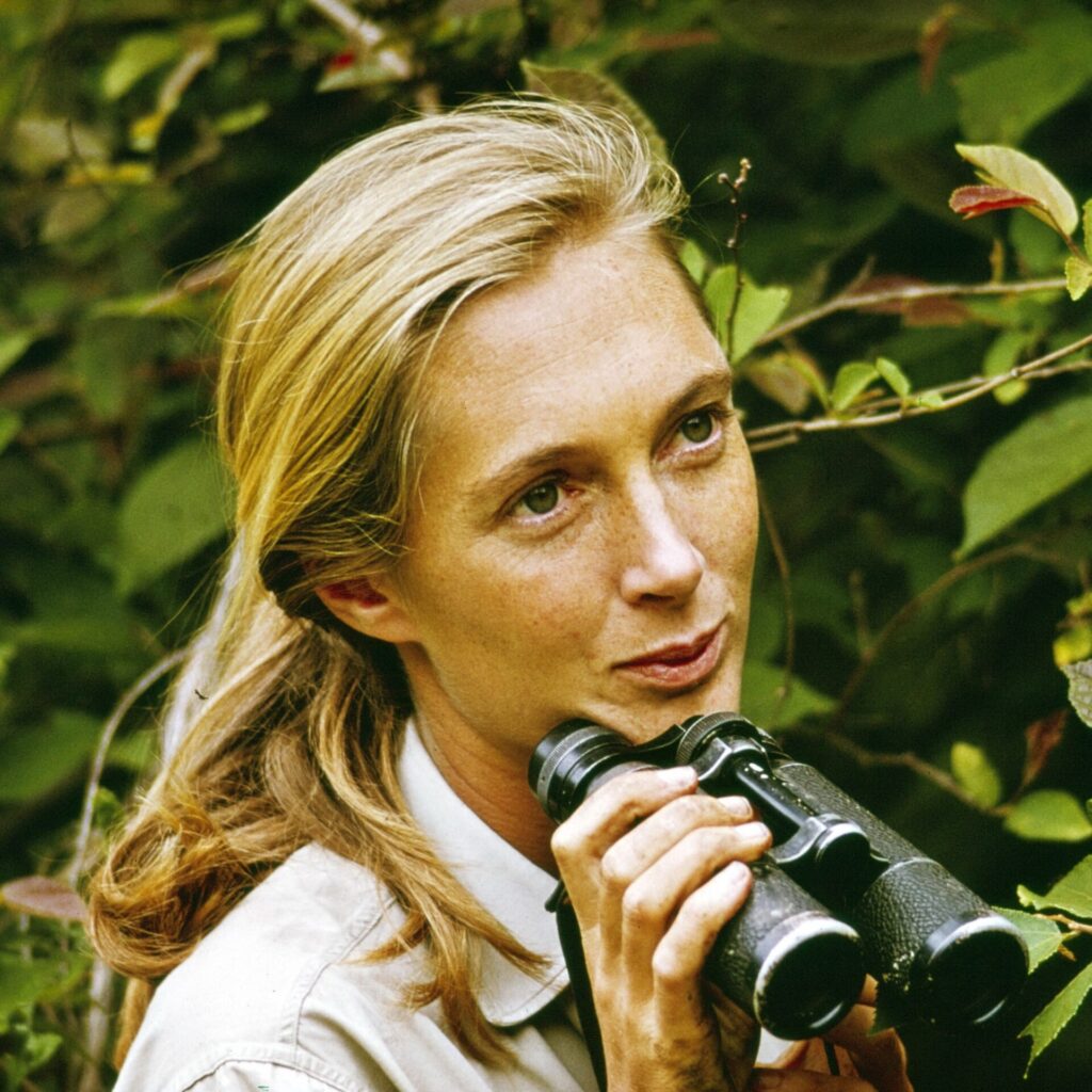 Πώς η Jane Goodall αλλάξε τη σκέψη μας για τους χιμπατζήδες (και τους ανθρώπους)