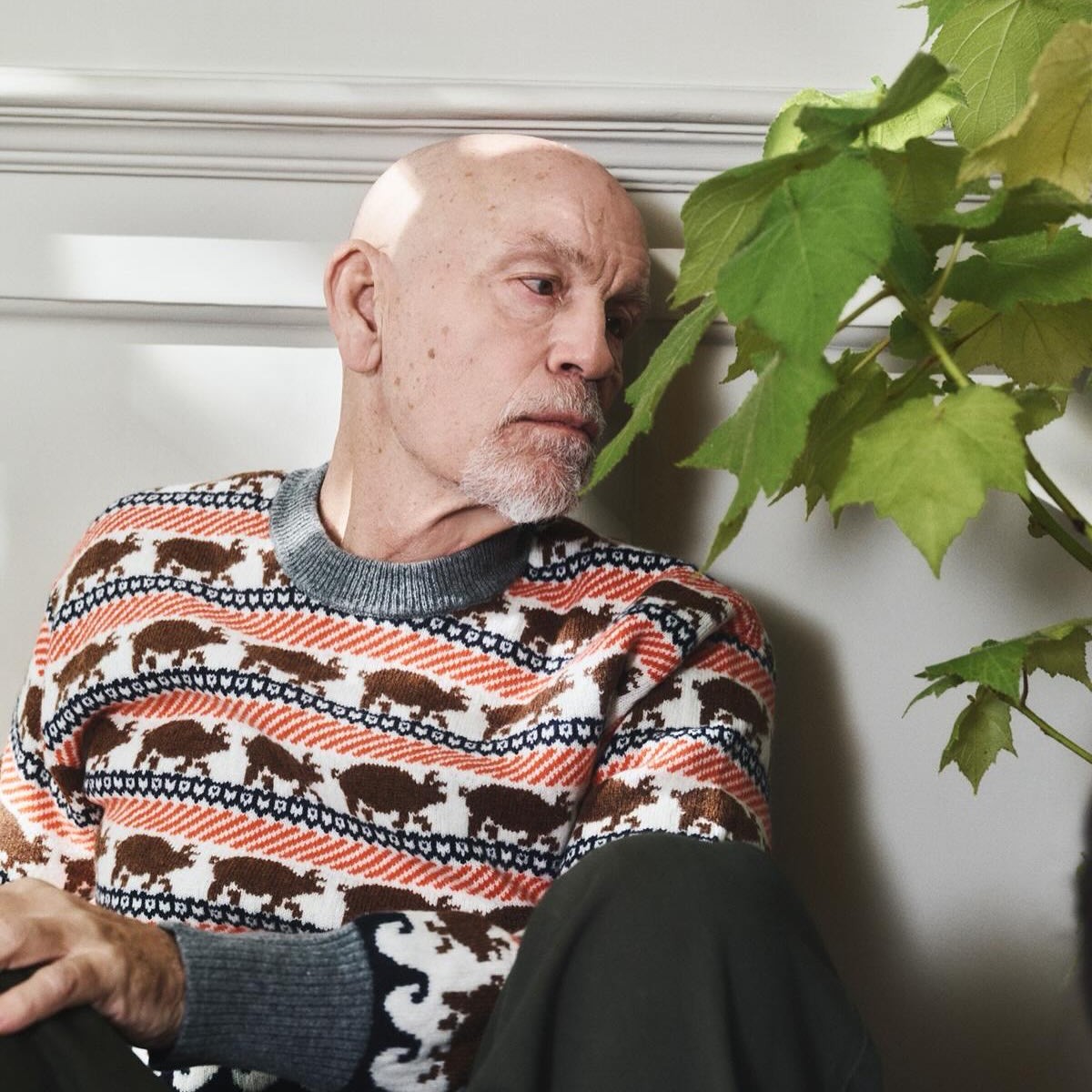 malkovich-anderson-2