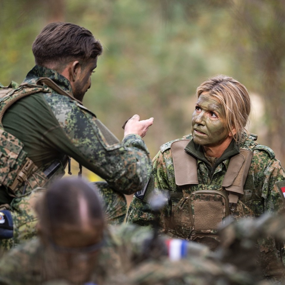 Máxima: Βασίλισσα και παραλλαγή