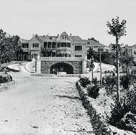 tatoi