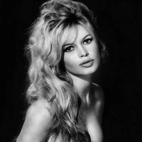 Brigitte Bardot: Η ηθοποιός που αγάπησε τα ζώα περισσότερο από τον γιο της