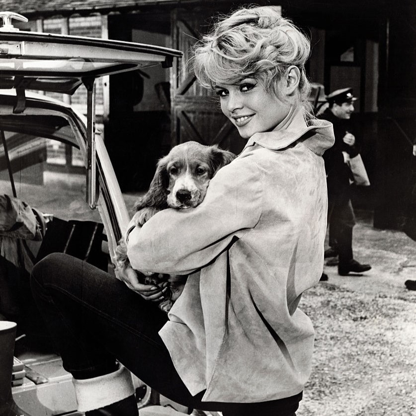 Brigitte Bardot3