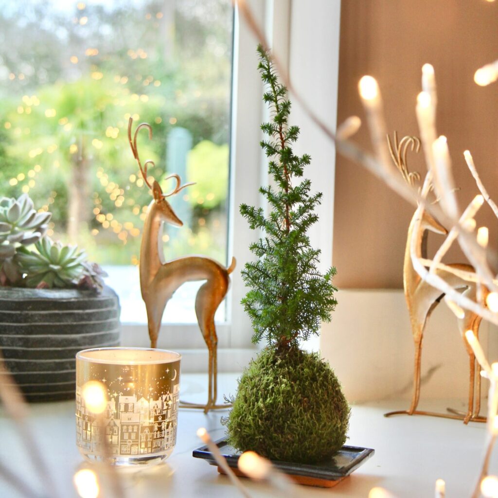 Χριστουγεννιάτικο δέντρο: Το νέο trend λέγεται kokedama christmas tree