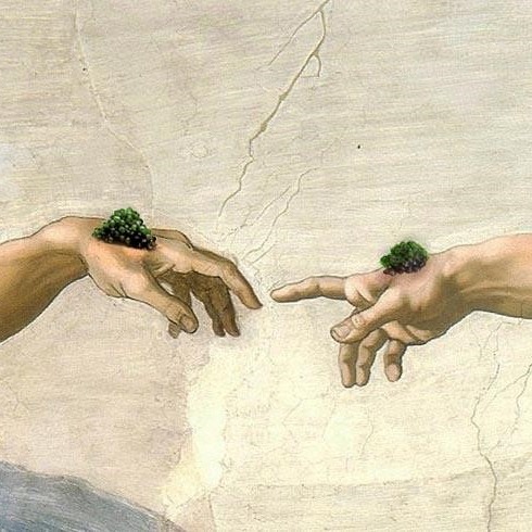 Γιατί οι Ιάπωνες αλλάζουν φύλο στα ψάρια;