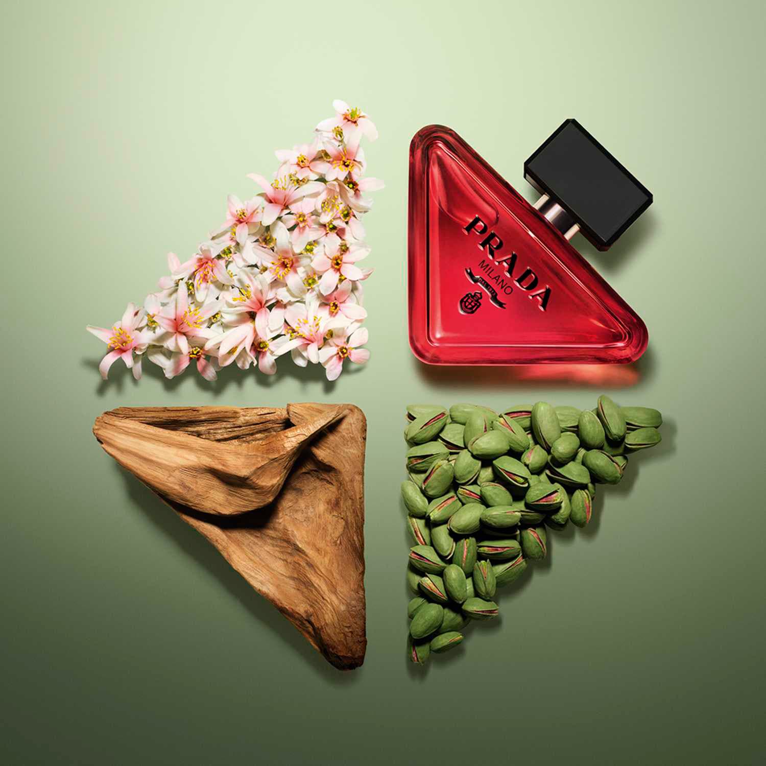 gynaika-toksotis paradox prada