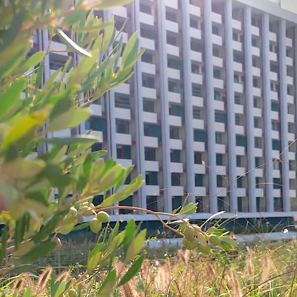 The Ilisian: Ένα “πάρκο” πάνω από την πόλη