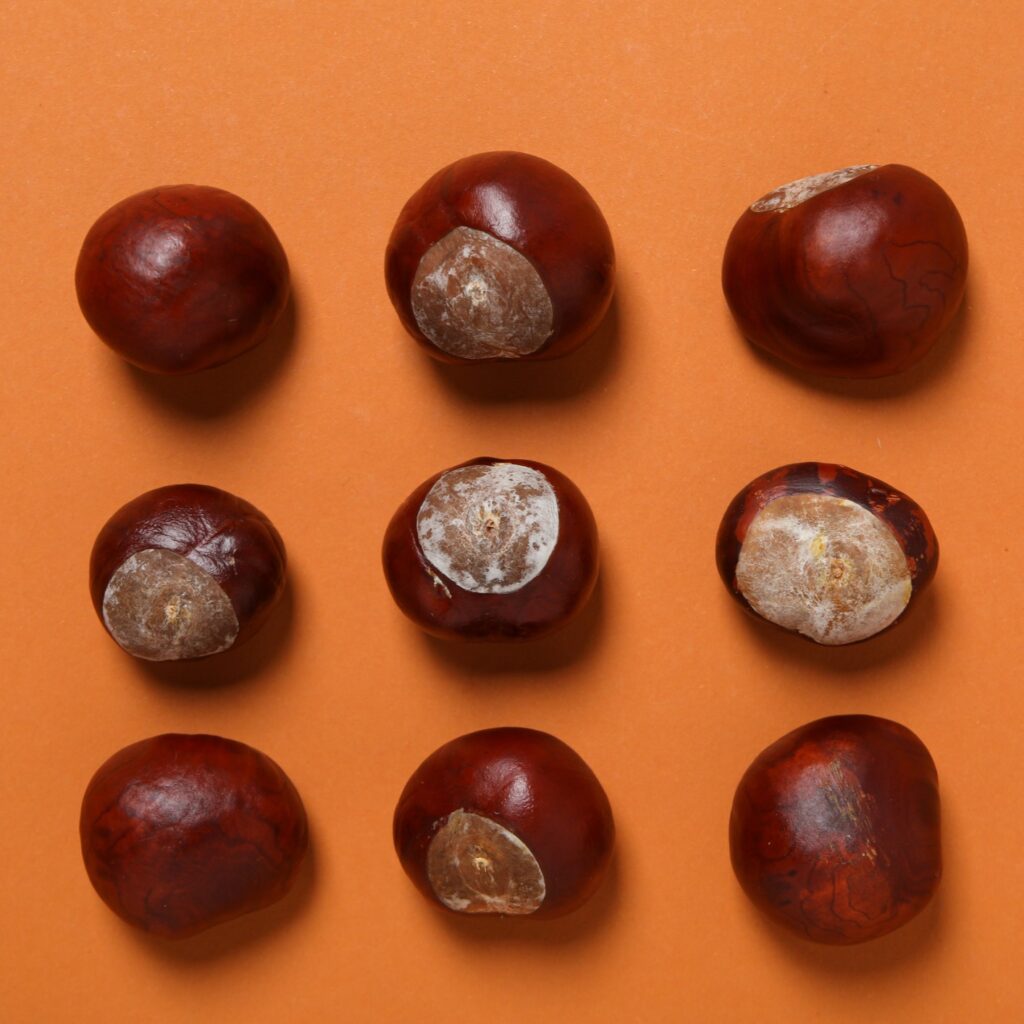 Γιατί πρέπει να τρώτε κάστανα;