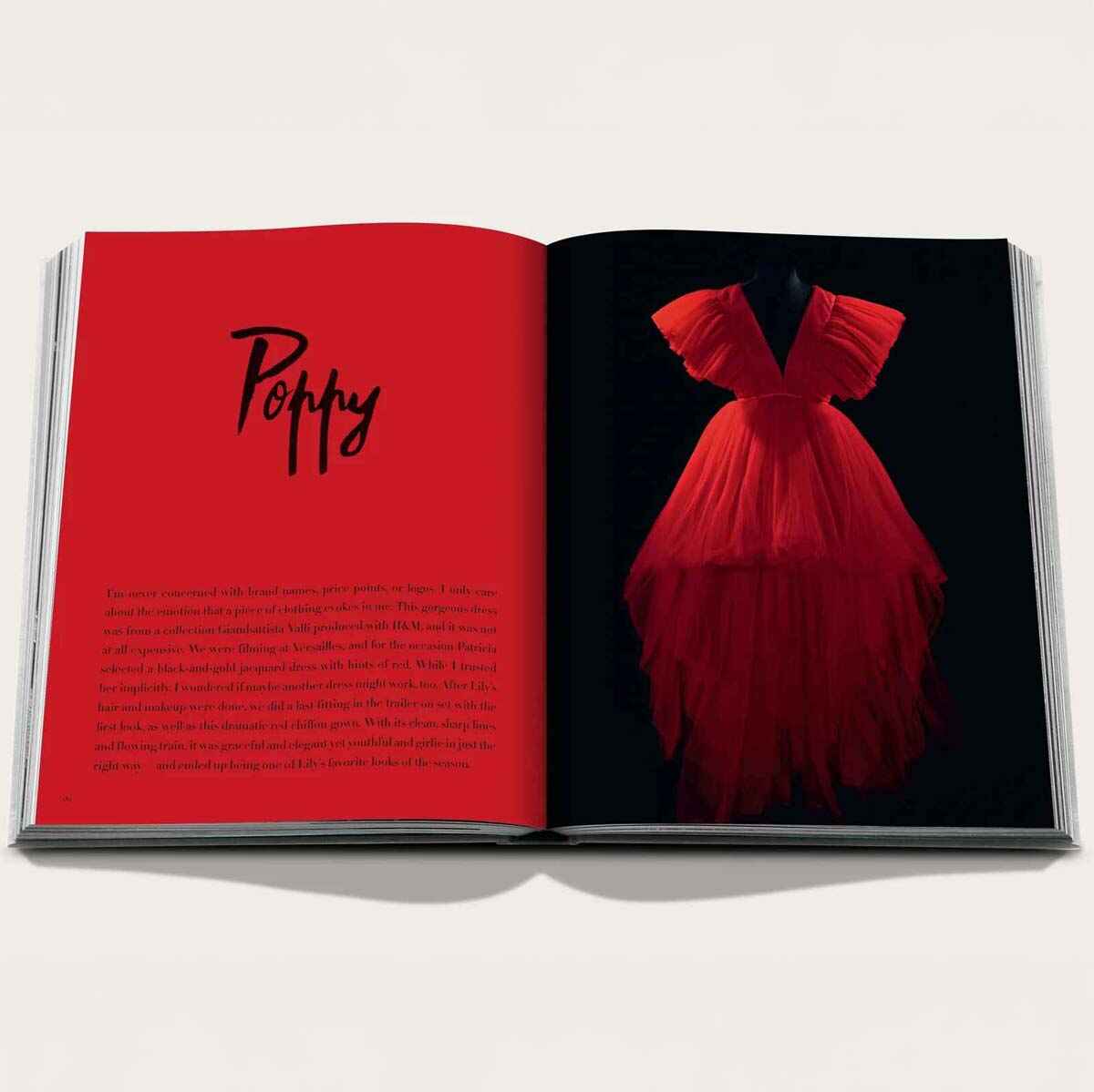 EMILY_IN_PARIS_SPREAD_GREY_8 (2) (2)