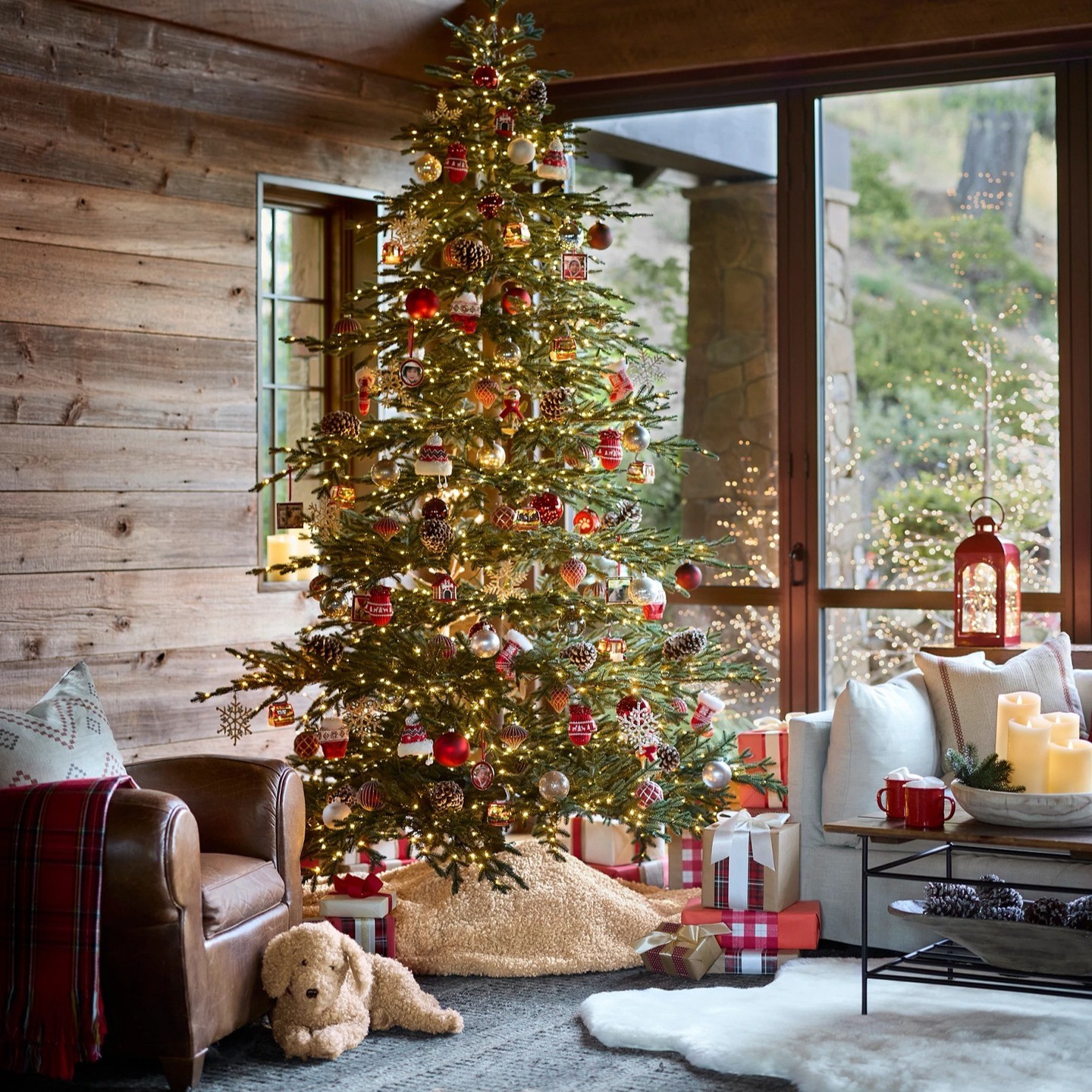 dentro-prosopikotita-1