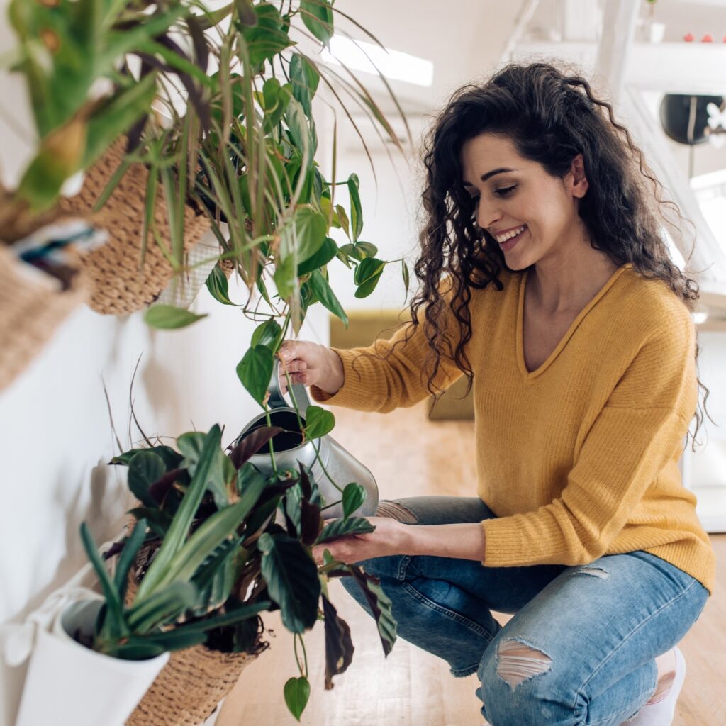 5 φυτά εσωτερικού χώρου που προσελκύουν τύχη και πλούτο