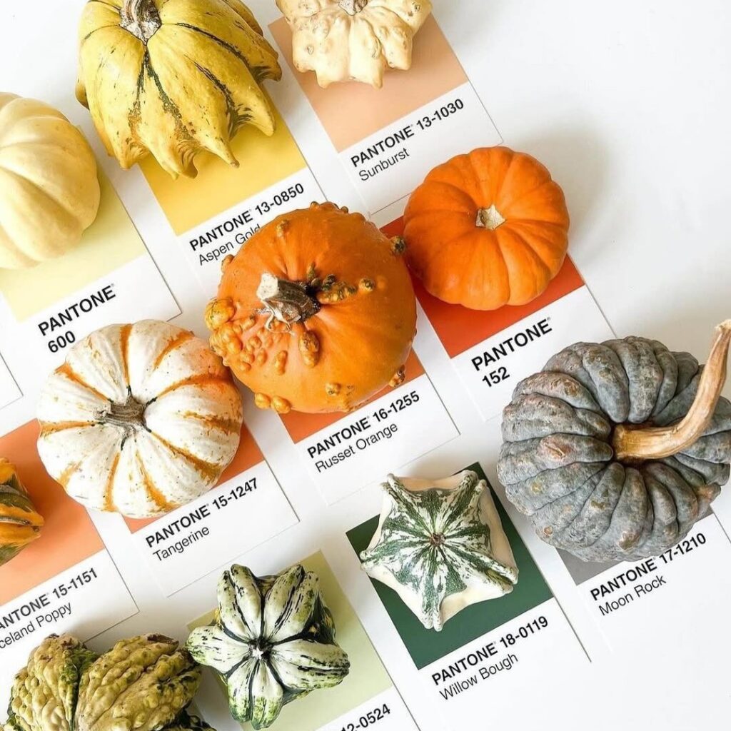 Ποια είναι η Pantone και γιατί είπαμε ότι μας νοιάζει;