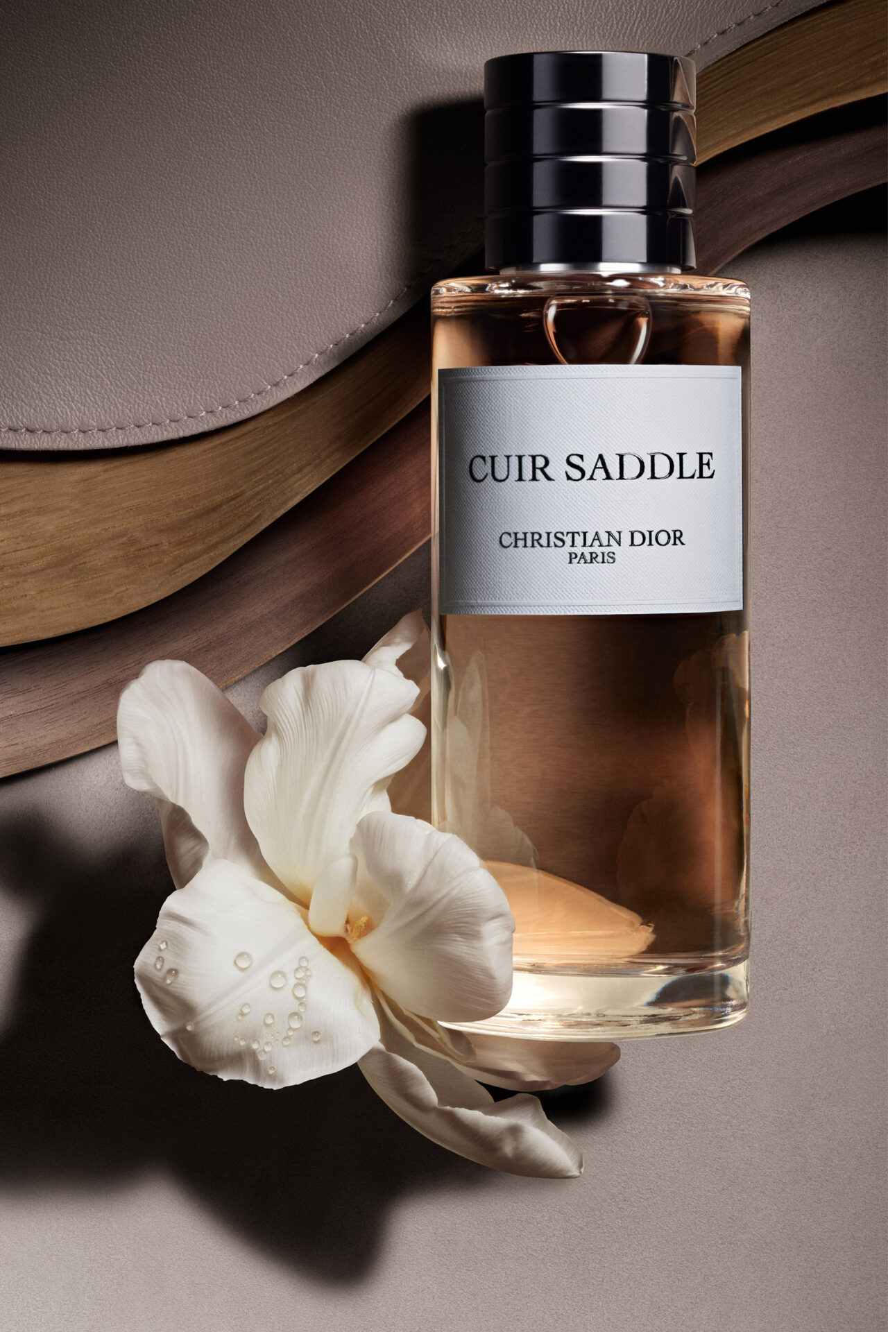 gynaika aigokeros dior cuir saddle