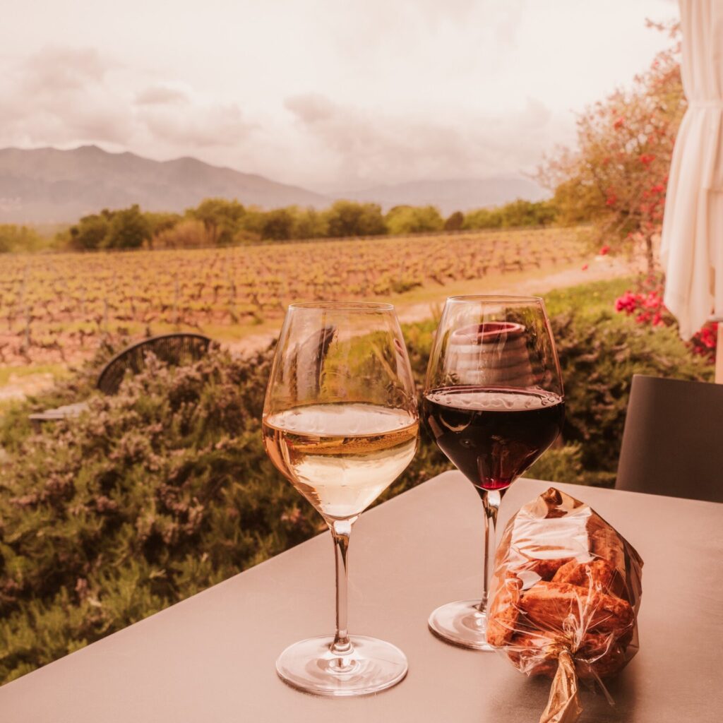 Ποιες ελληνικές ποικιλίες κρασιού επηρεάζουν τα ανθρώπινα κύτταρα σύμφωνα με μελέτη