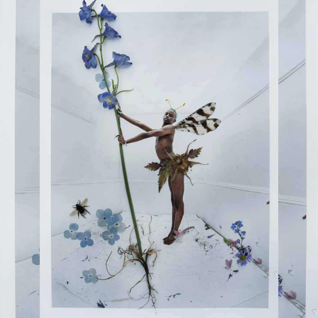 main.5353a89a.tim_walker_d_22_flower_fairy_collage_ii_shot_05_0007.3b281d58-profile
