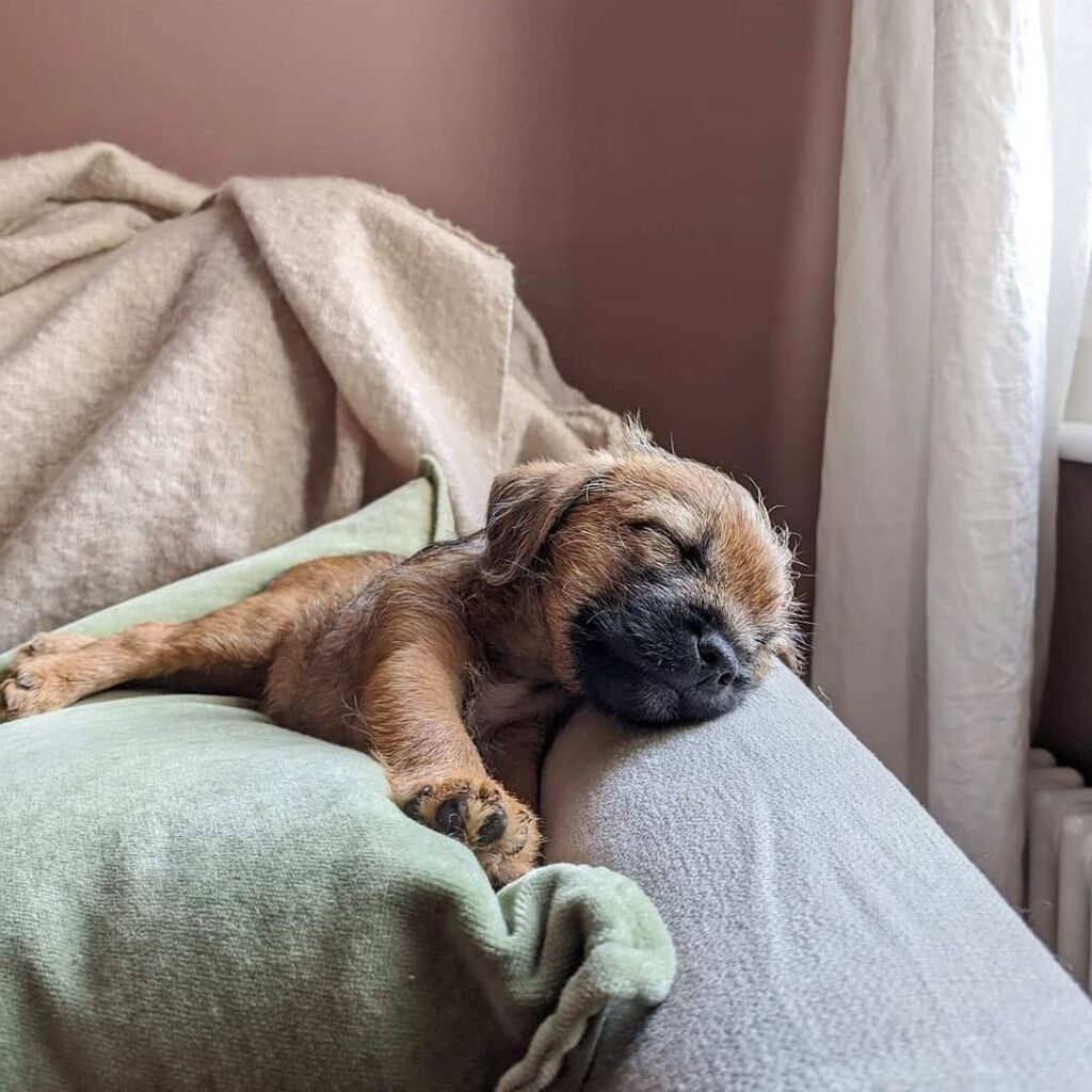 4 χρωματικοί συνδυασμοί που ζεσταίνουν αμέσως το σπίτι