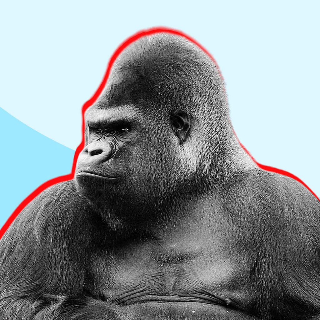 Ας βγάλουμε έξω τα ζώα από τις πολεμικές μας συγκρούσεις