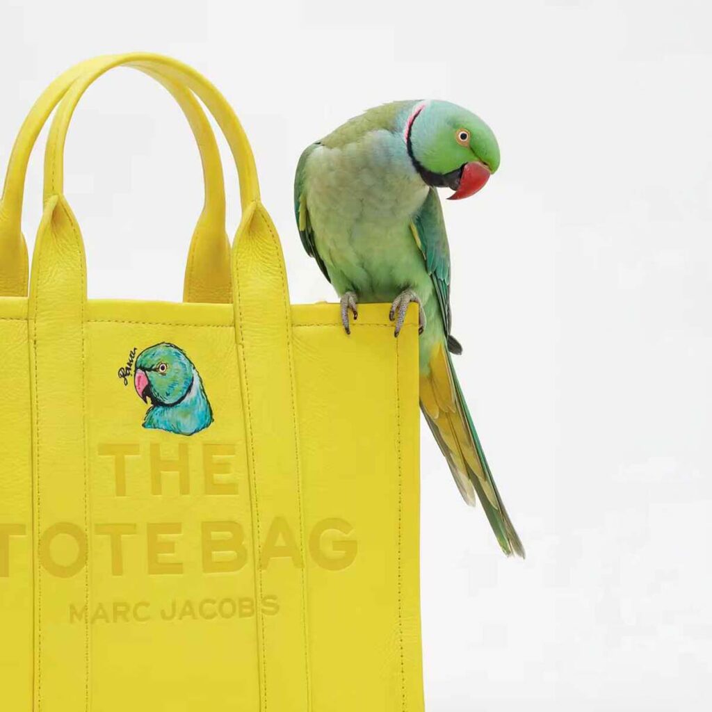 bark-jacobs-marc- (2)