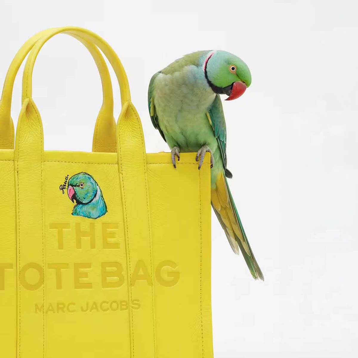 bark-jacobs-marc- (2)