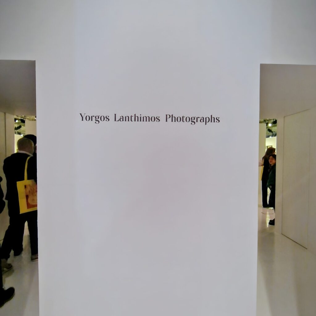 lanthimos-photography-stegi-onassis (5)