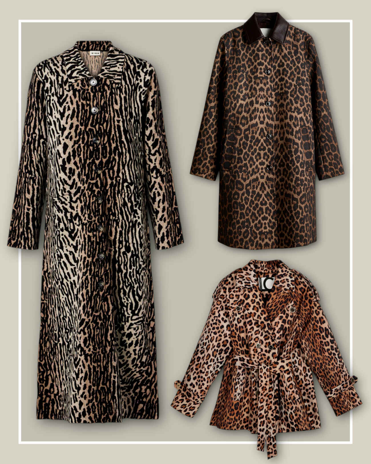 leopard-panoforia