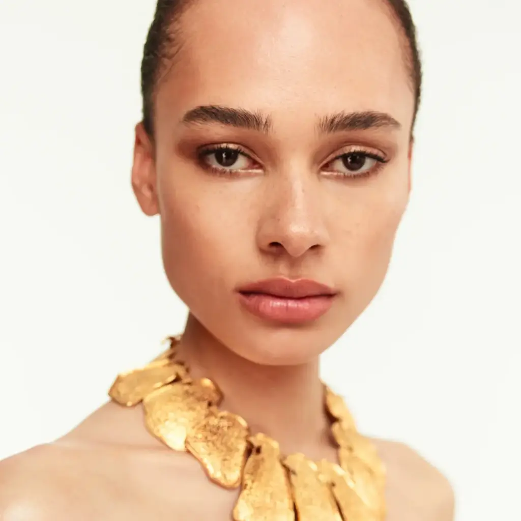 Schiaparelli