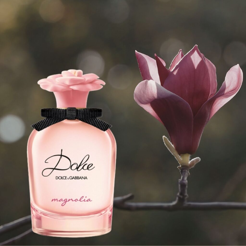 anoiksiatiko aroma dolce gabbana