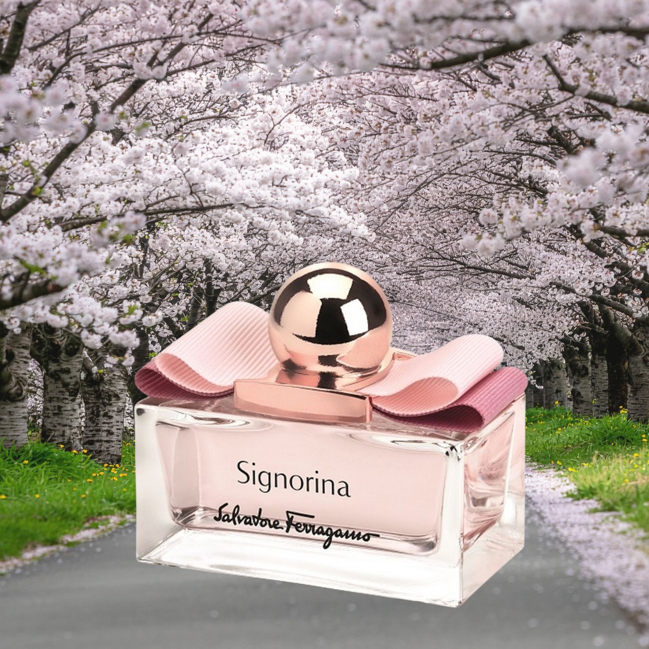 anoiksiatiko aroma ferragamo