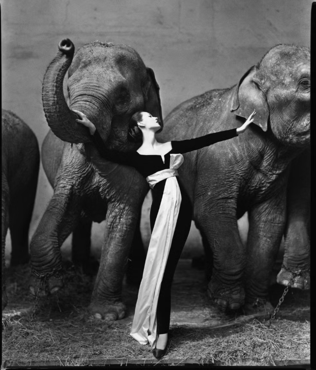Avedon photo