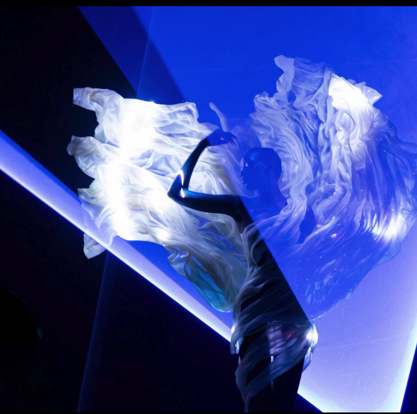 IRIS VAN HERPEN 2